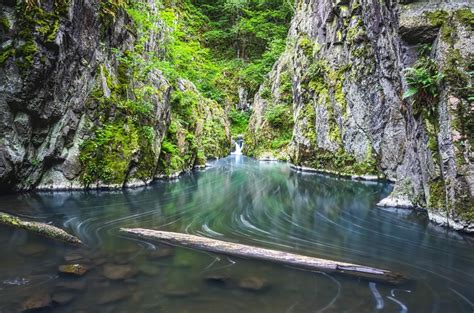 kam za zvířátky středočeský kraj|Obora bílých jelenů, japonská zahrada nebo Skryjská jezírka。